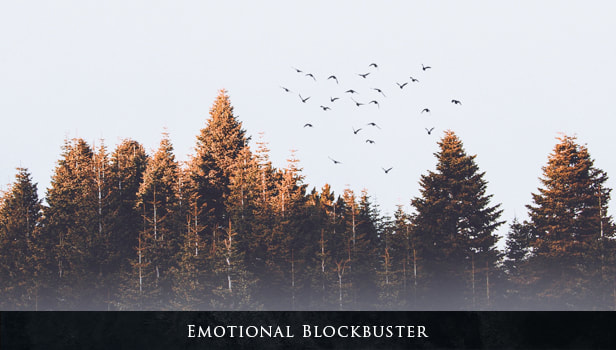 Emotional Blockbuster - 1